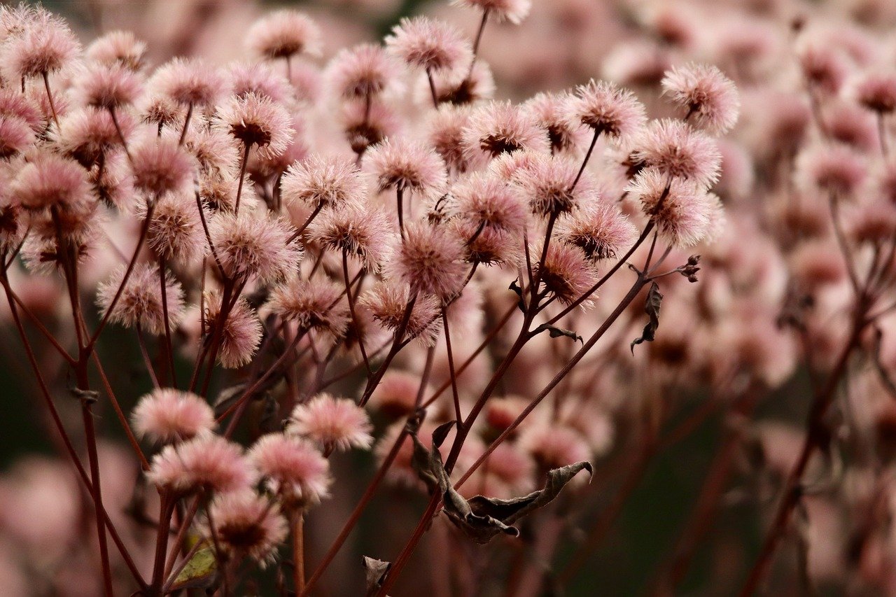 品牌建设对于SEO的重要性