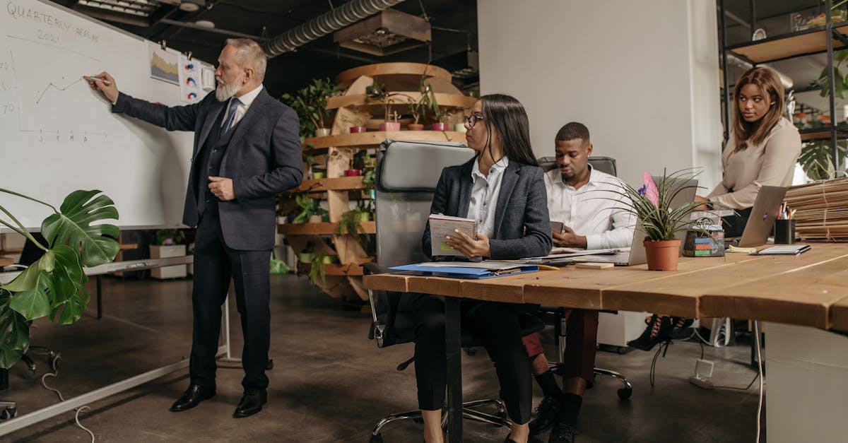 标题标记种类的重要性和应用 