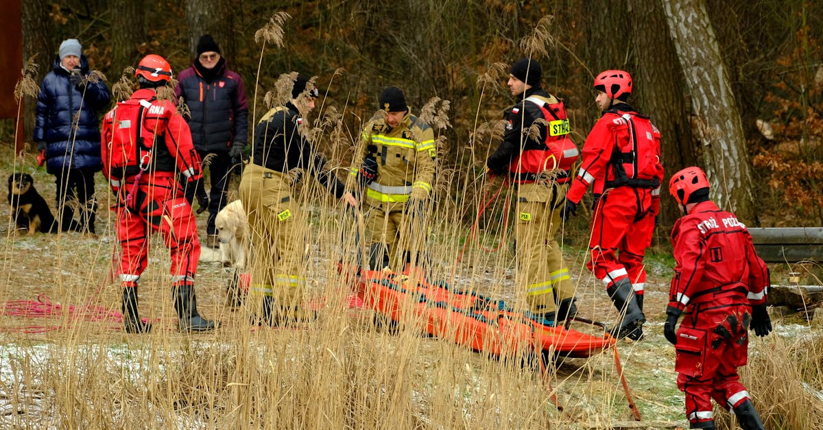 庐阳注册代理记账公司地址