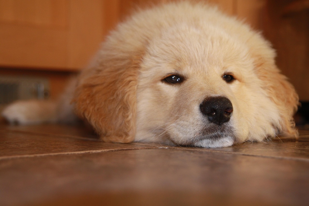 二号站娱乐，注册|接口管理代理平台