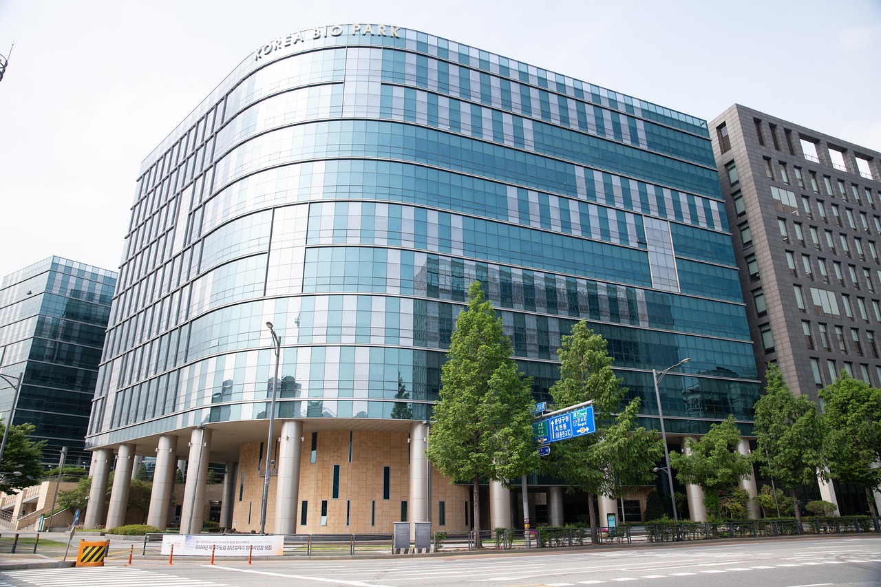 cok列王的纷争：详情下载教程金鹰卡通app