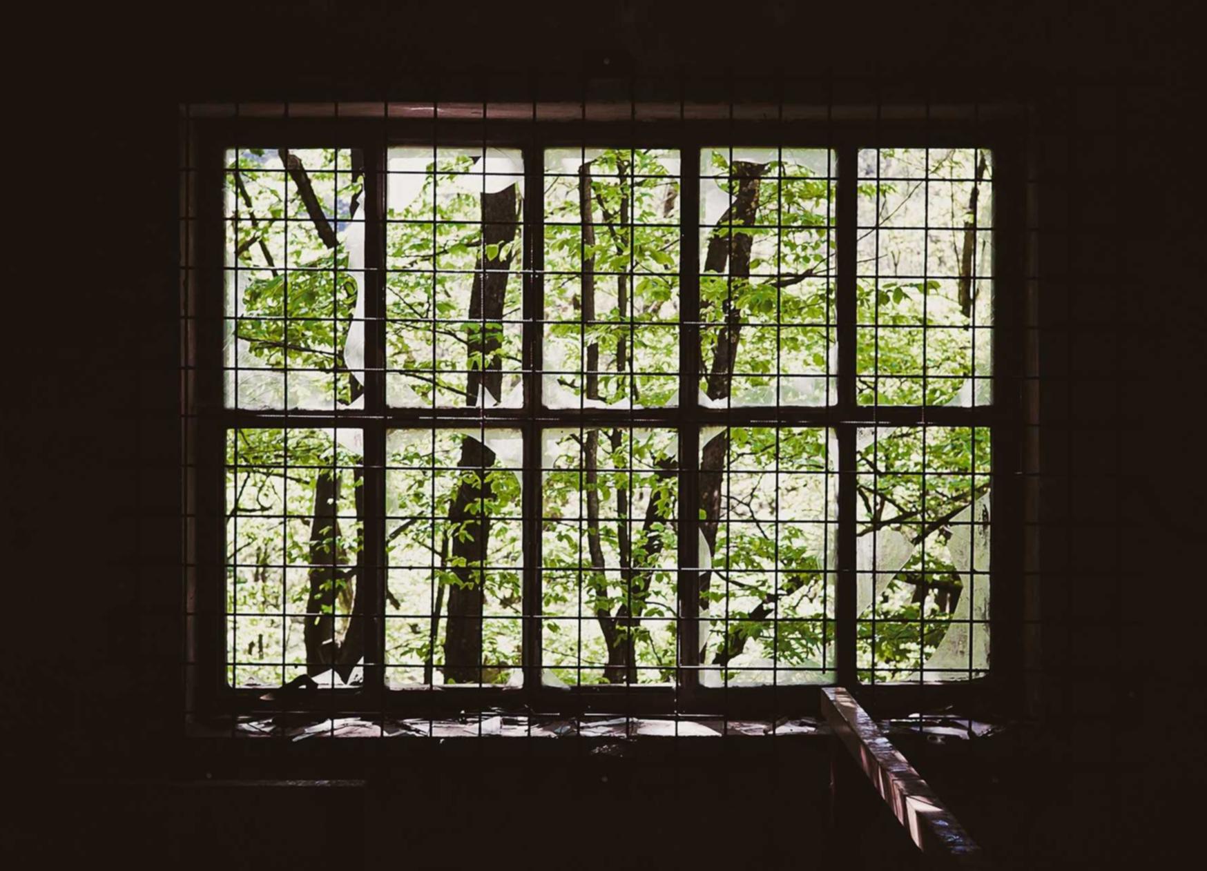 完美世界手游：教导读书会app详情下载教程