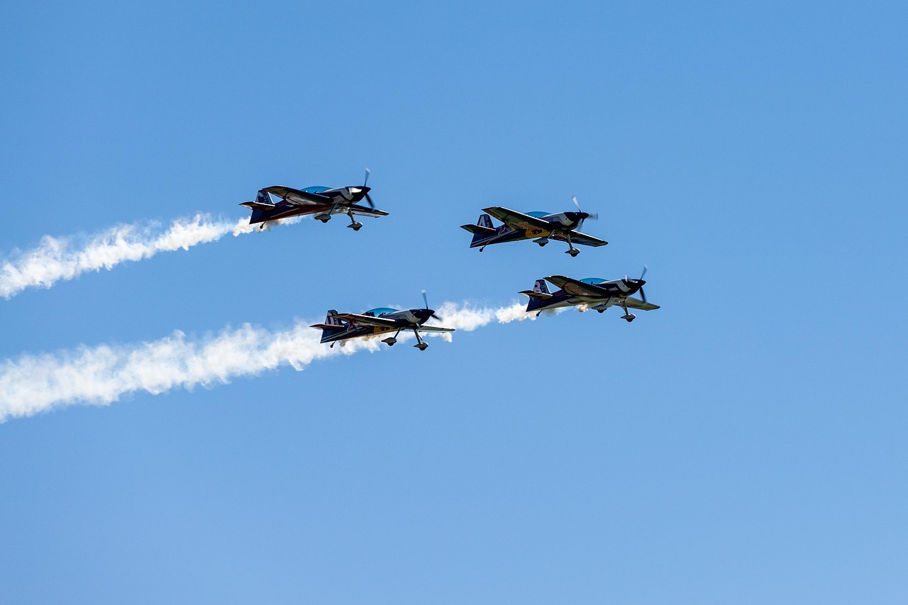 战争怒吼：ipad mini无法详情下载教程app