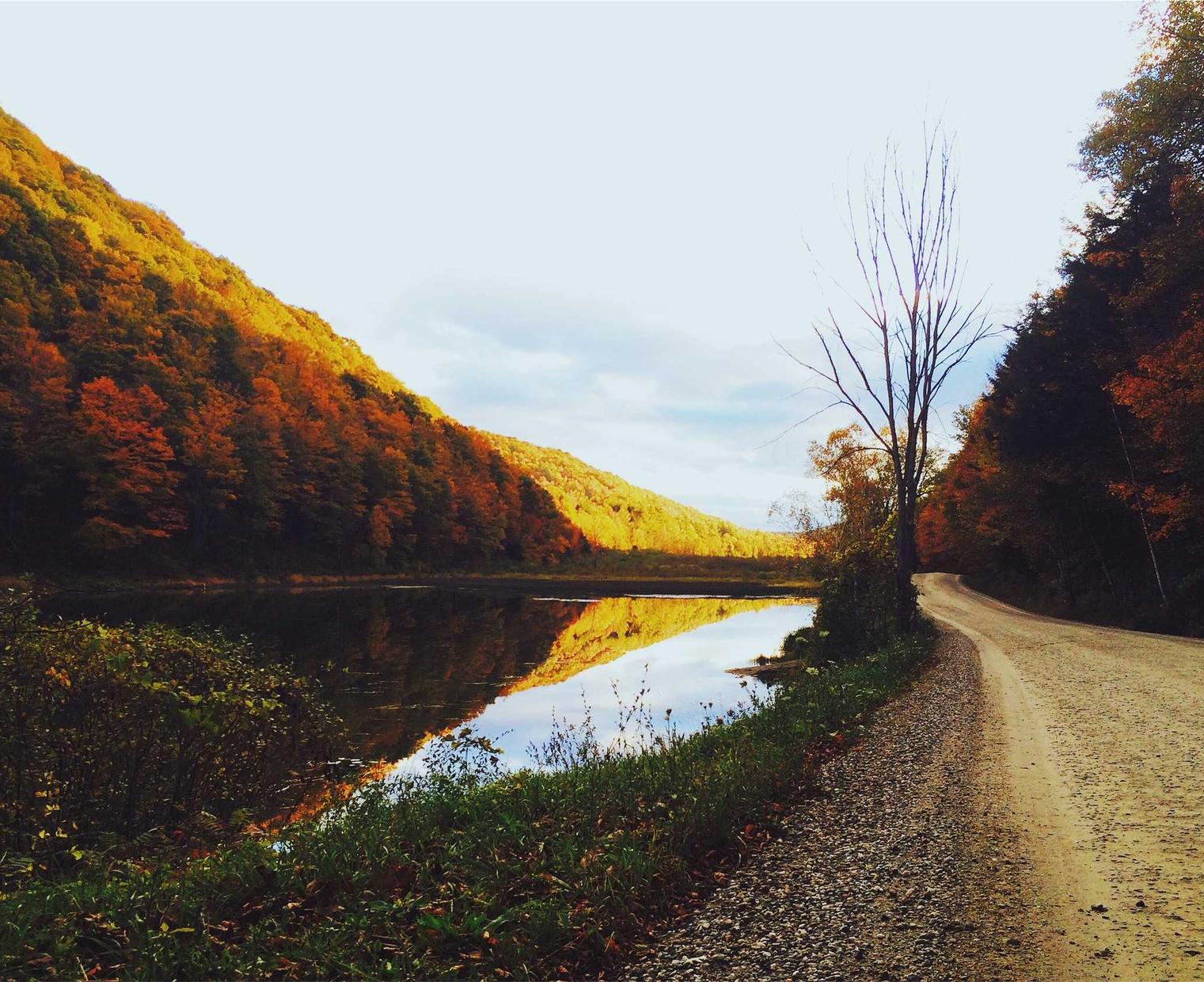 啪啪三国2:龙泉代理注册哪家不错