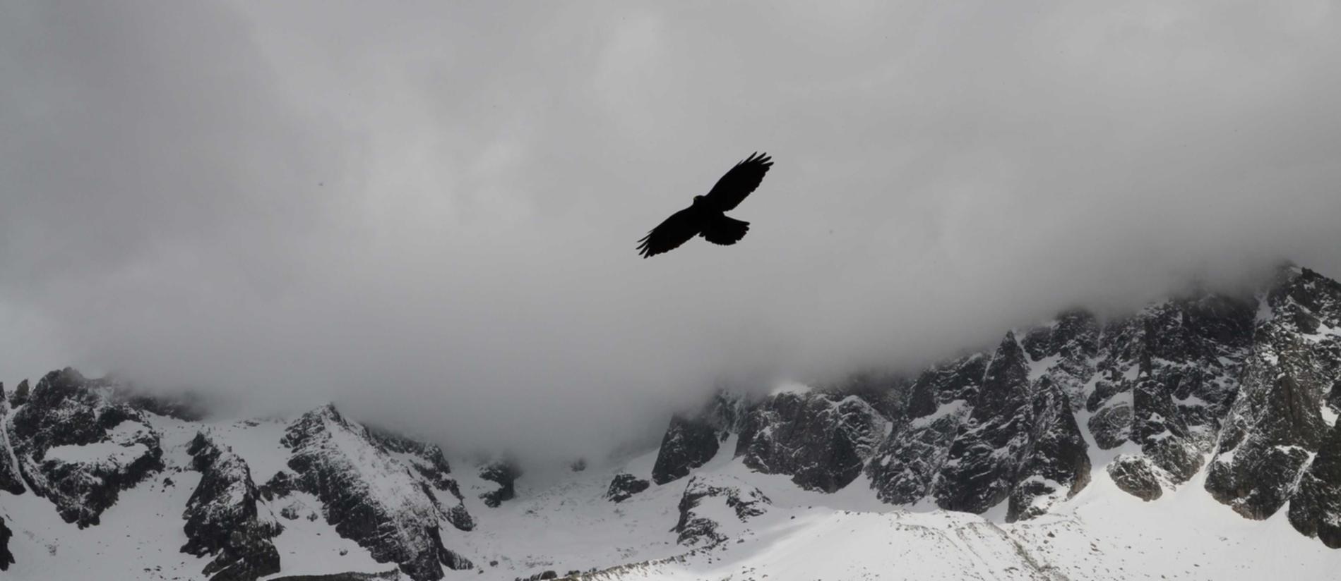 宇宙ip实名账号:品牌推广系统代理平台排名