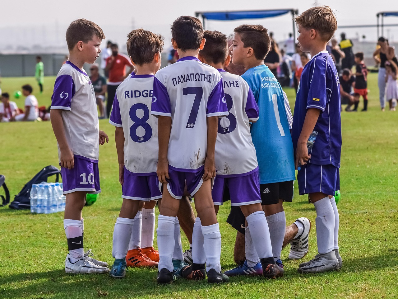 骆驼电瓶购买平台