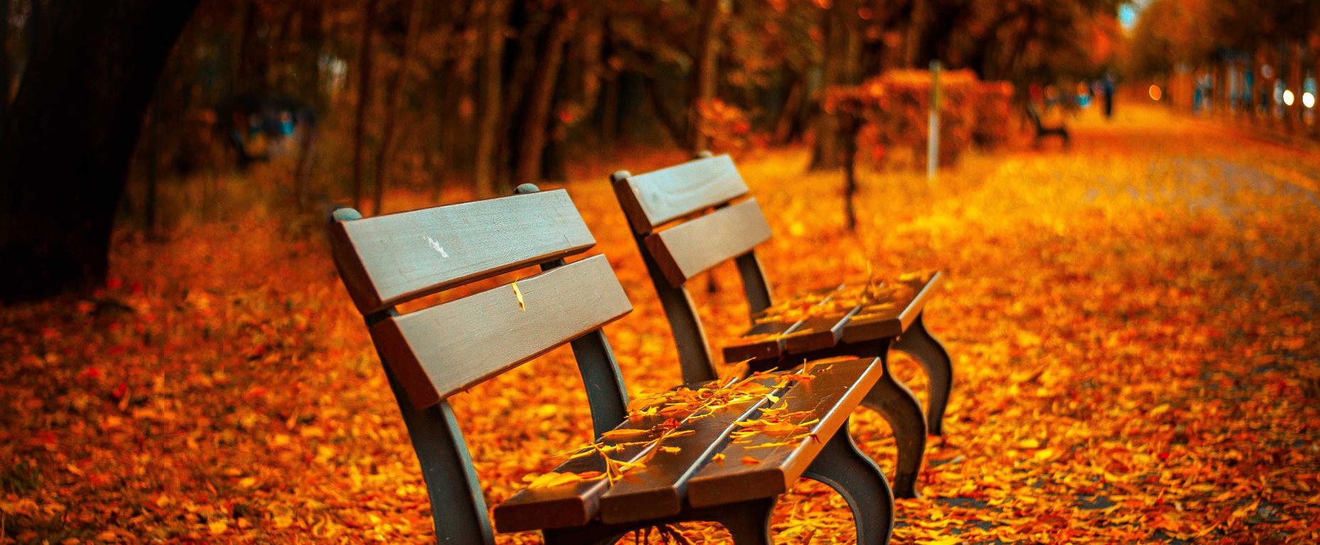 DDOS网页端|南宁商标注册代理